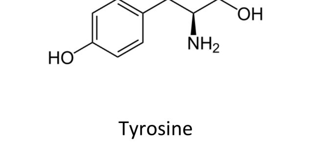 Tirozino kiekis maiste: stalas