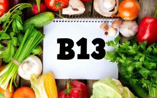 Vitaminas B13: ko reikia organizmui, kokio maisto yra