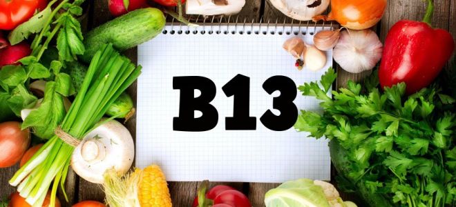 Vitamin B13: što tijelo treba, što hrana sadrži