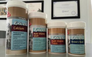 Köpekler için Excel vitaminleri: yavru köpekler, yetişkin ve yaşlı köpekler için