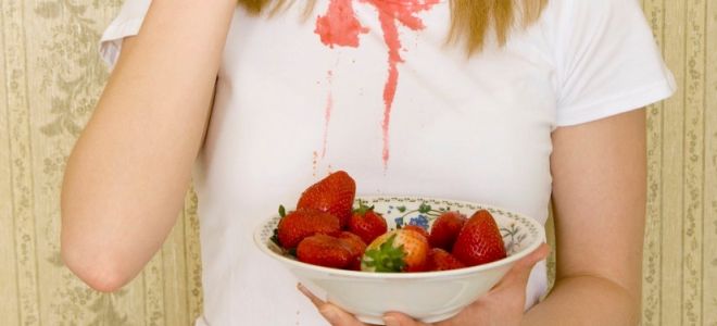 Comment enlever les fraises des vêtements: blanches et colorées