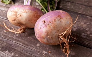 Rutabaga: kāds dārzenis tas ir un kā tas izskatās, foto, cik tas ir noderīgs