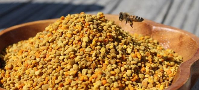 Kas ir noderīgi, kā sagatavot un uzklāt medu ar ziedputekšņiem