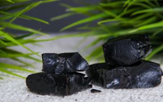 Shilajit: полезни и лечебни свойства, противопоказания, как да приемате, инструкции