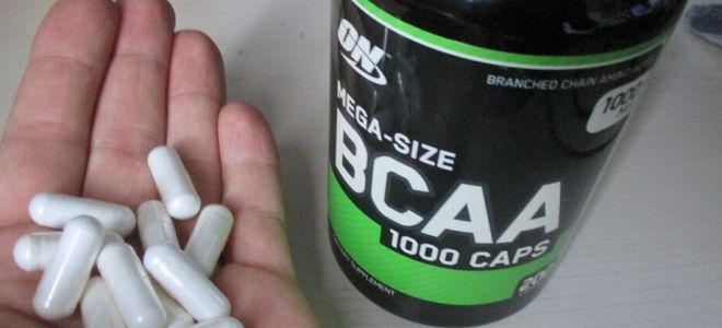 Los beneficios y daños de los BCAA (BCAA), para qué sirven y cómo tomar