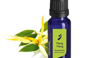 Ylang-ylang olaj hajra: tulajdonságok, vélemények, hogyan kell használni