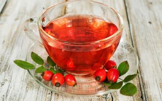 Rosehip tea: mga benepisyo at pinsala, kung paano magluto nang tama, mga recipe