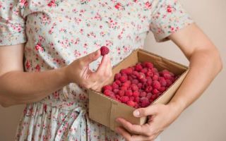 Comment enlever les taches de framboise