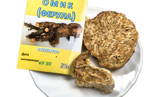 Omik (dzhungarian ferula) ārstnieciskās īpašības, ieguvumi un kaitējums