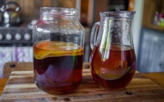 A kombucha előnyei és ártalmai, hogyan lehet otthon termeszteni