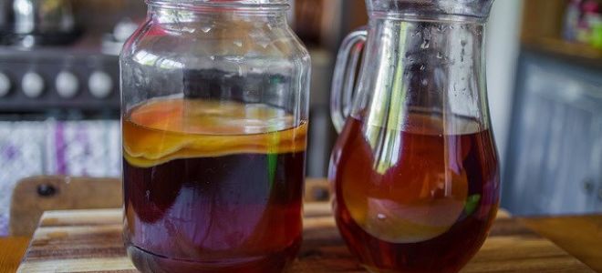 A kombucha előnyei és ártalmai, hogyan lehet otthon termeszteni