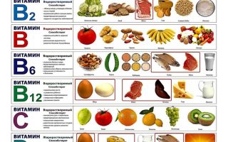 Vitamíny pre vegetariánov: ženy, mužov a deti