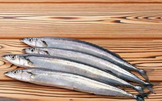 Miért hasznos a saury