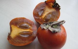 Persimmon Kinglet: korzyści i szkody, zawartość kalorii, zawartość witamin