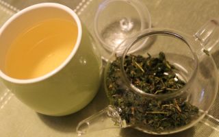 Pieno oolong arbata (oolong): naudingos ir kenksmingos savybės