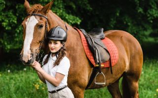 A lovassport előnyei és ártalmai, vélemények