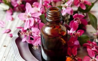 Geranium eļļa: aromterapija, īpašības un pielietojums kosmetoloģijā, ginekoloģijā