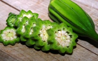 Okra (okra): kokia tai daržovė, augalo nuotrauka, nauda ir žala sveikatai