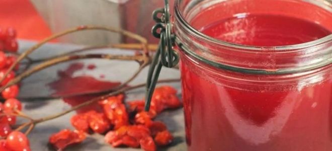 Hogyan kell szedni, a viburnum juice előnyei és ártalmai