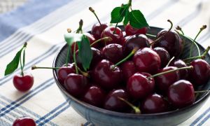 Pourquoi les cerises sont utiles pour le corps humain