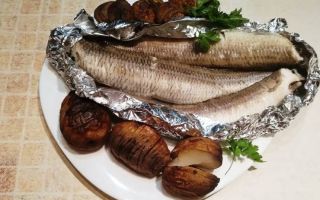 Fish Argentina: fénykép és leírás, előnyök és károk