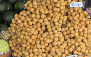 Longan: ползи и вреди