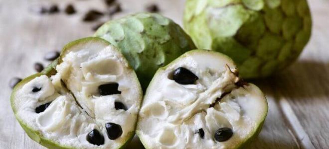 Cherimoya: gyümölcs, íz, kalóriatartalom fényképe, vélemények