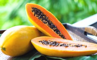 Papaya: előnyös tulajdonságok és ellenjavallatok