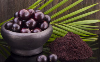 Acai Berry: полезни свойства и противопоказания