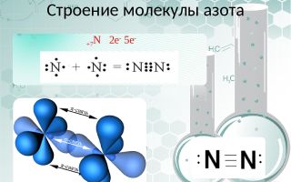 Produkti, kas satur slāpekli: tabula + saraksts