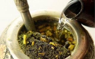 Mate tea (Mate): előnyök és károk, vélemények