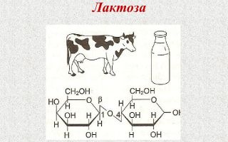 Лактоза: където се съдържа, ползи и вреди